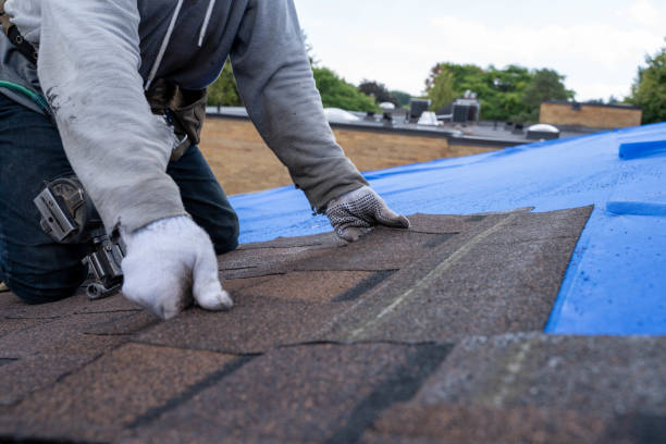 Professional  Roofing repair and installation in Forest City, FL